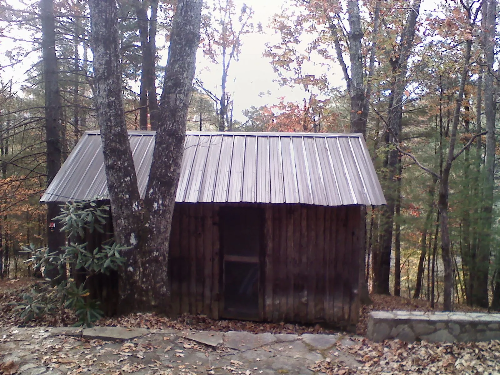 New metal gable roof on a small log shed among the trees in Benton